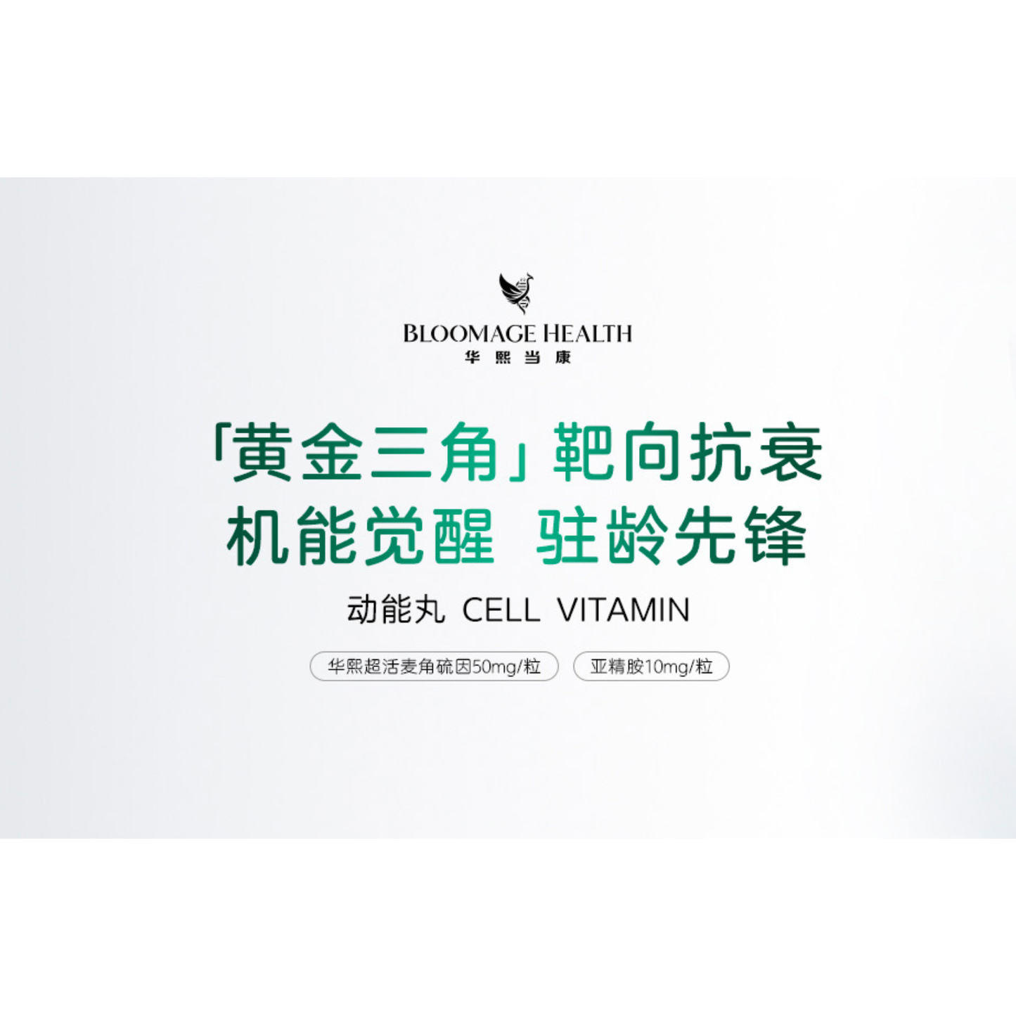 Cell Vitamin - 3 Bottles Circle of Care Bundle