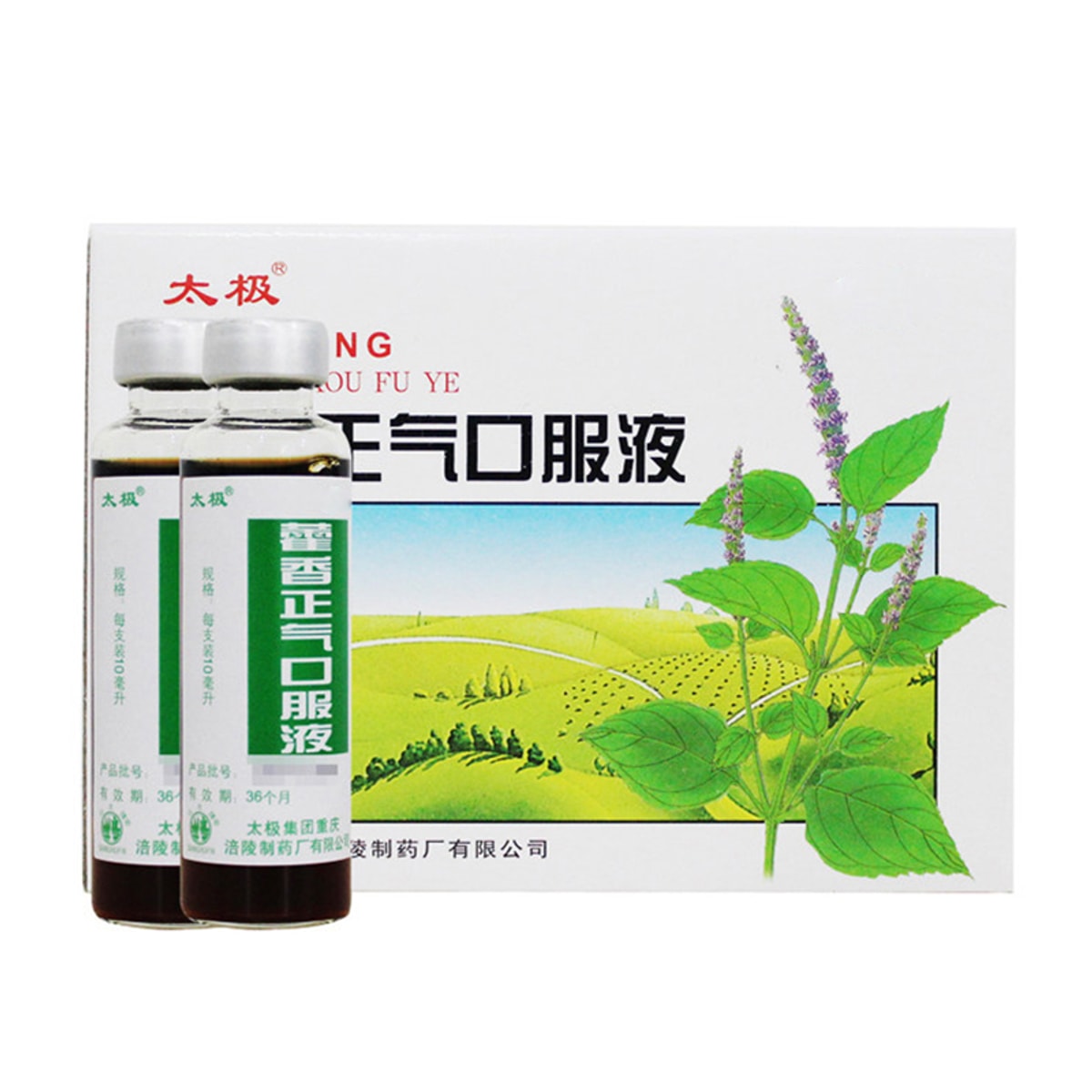 太極藿香正氣口服液（10ml×10瓶）