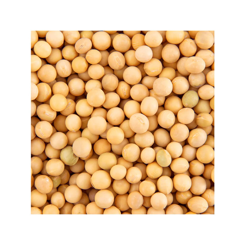 OT Organic Soy Bean (2lb*1 bag)