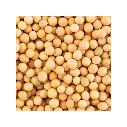 OT Organic Soy Bean (2lb*1 bag)