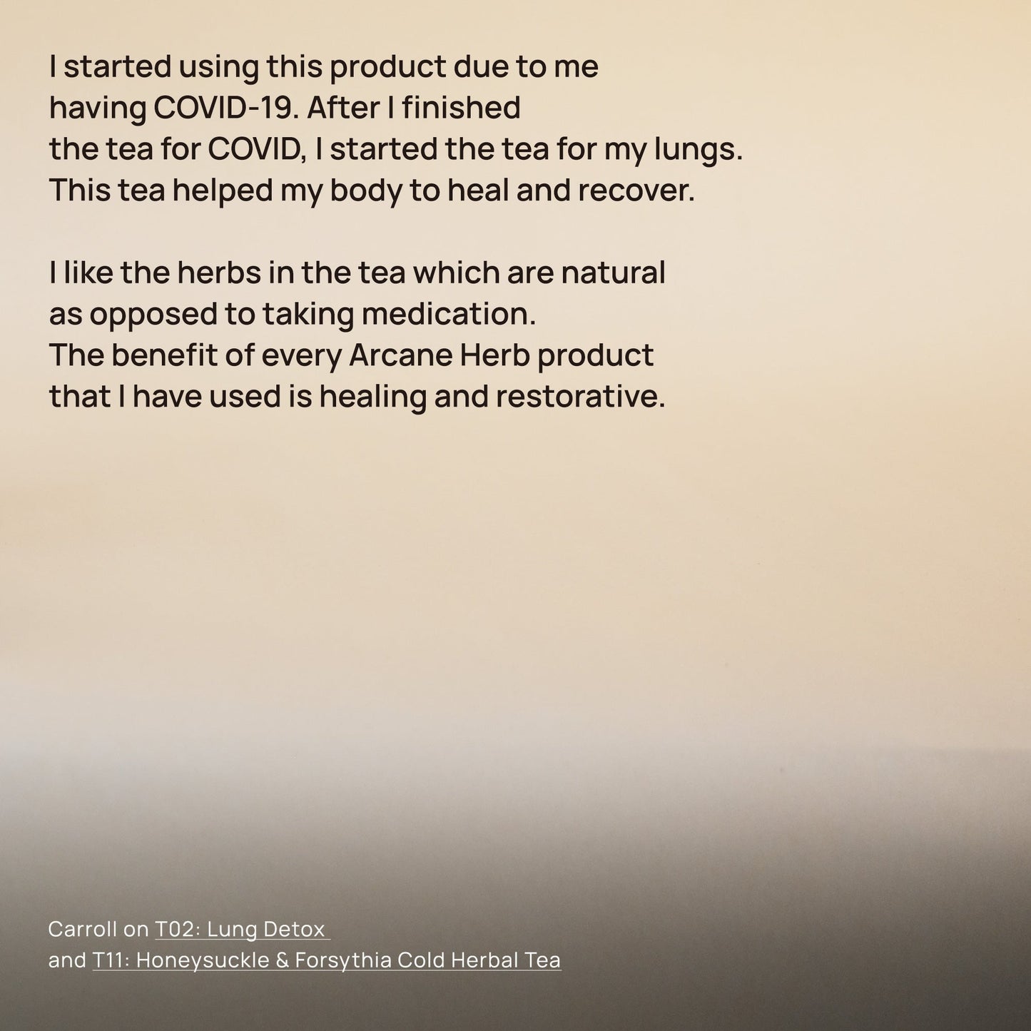 金银花银翘茶 T11