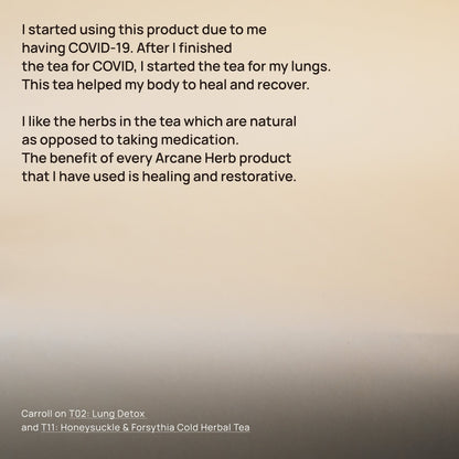 金银花银翘茶 T11