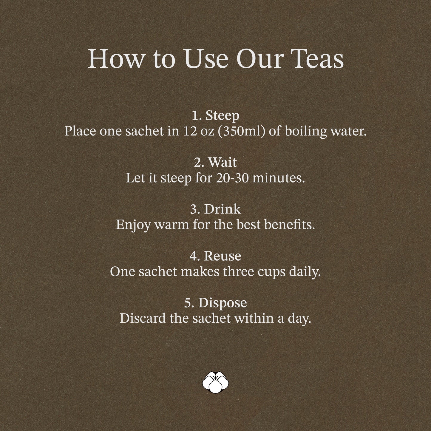 五宝灵芝滋补茶 T25