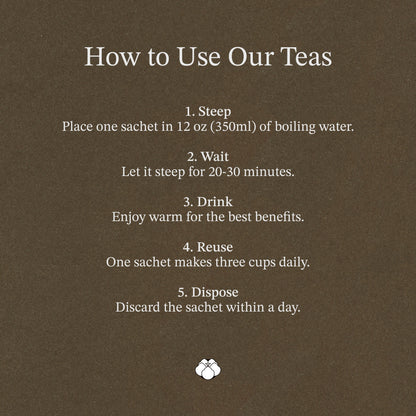 五宝灵芝滋补茶 T25