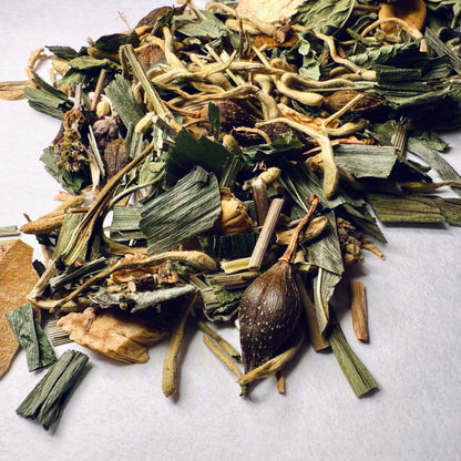 金银花银翘茶 T11