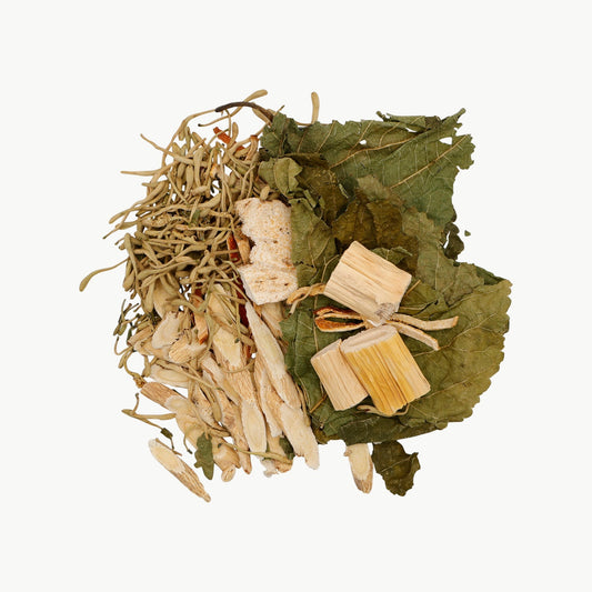 Immune Defense Herbal Tea T19