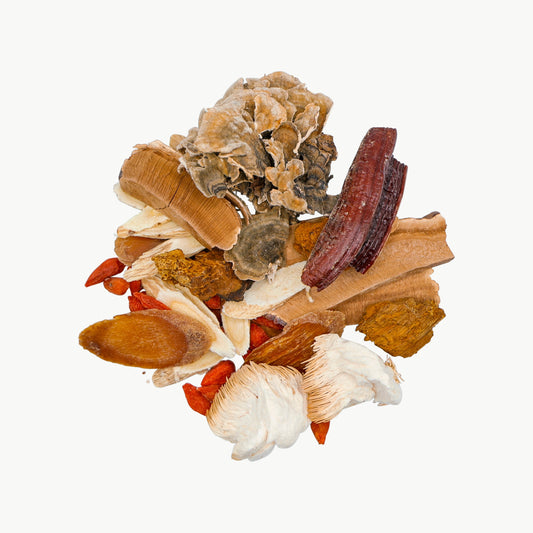 五宝灵芝滋补茶 T25