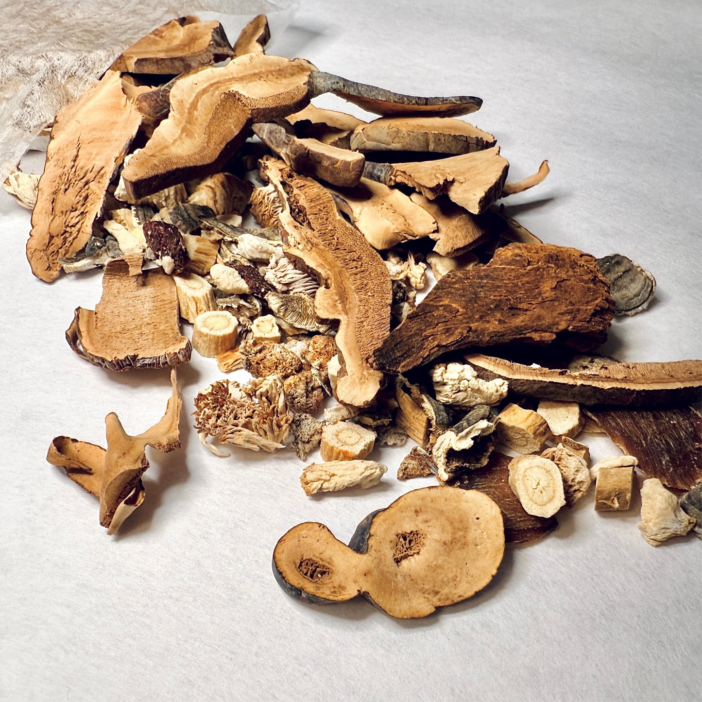 五宝灵芝滋补茶 T25