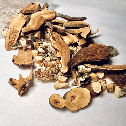 五宝灵芝滋补茶 T25