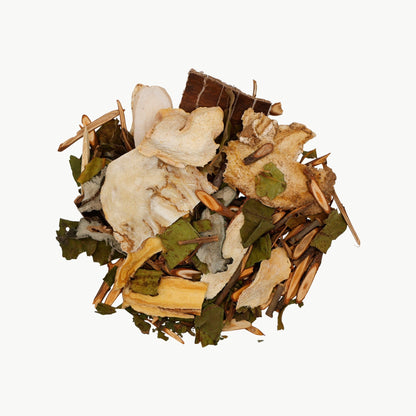 腰腿舒缓草本茶 T51