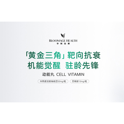 Cell Vitamin - 3 Bottles Circle of Care Bundle