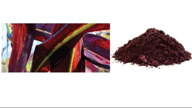 i-On® 铁平衡胶囊 （30粒胶囊）